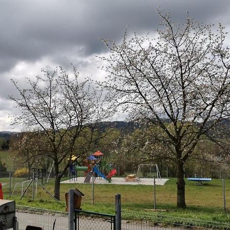Apartman Sumava U Rybaku Volenice  Exteriör bild