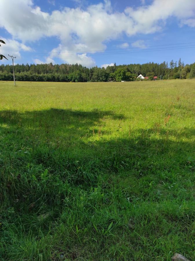Apartman Sumava U Rybaku Volenice  Exteriör bild