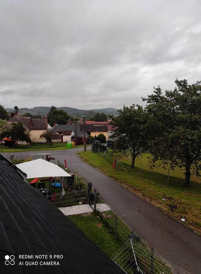 Apartman Sumava U Rybaku Volenice  Exteriör bild
