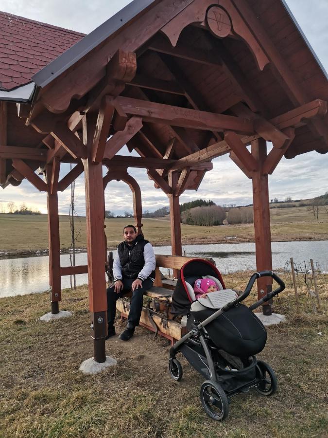 Apartman Sumava U Rybaku Volenice  Exteriör bild